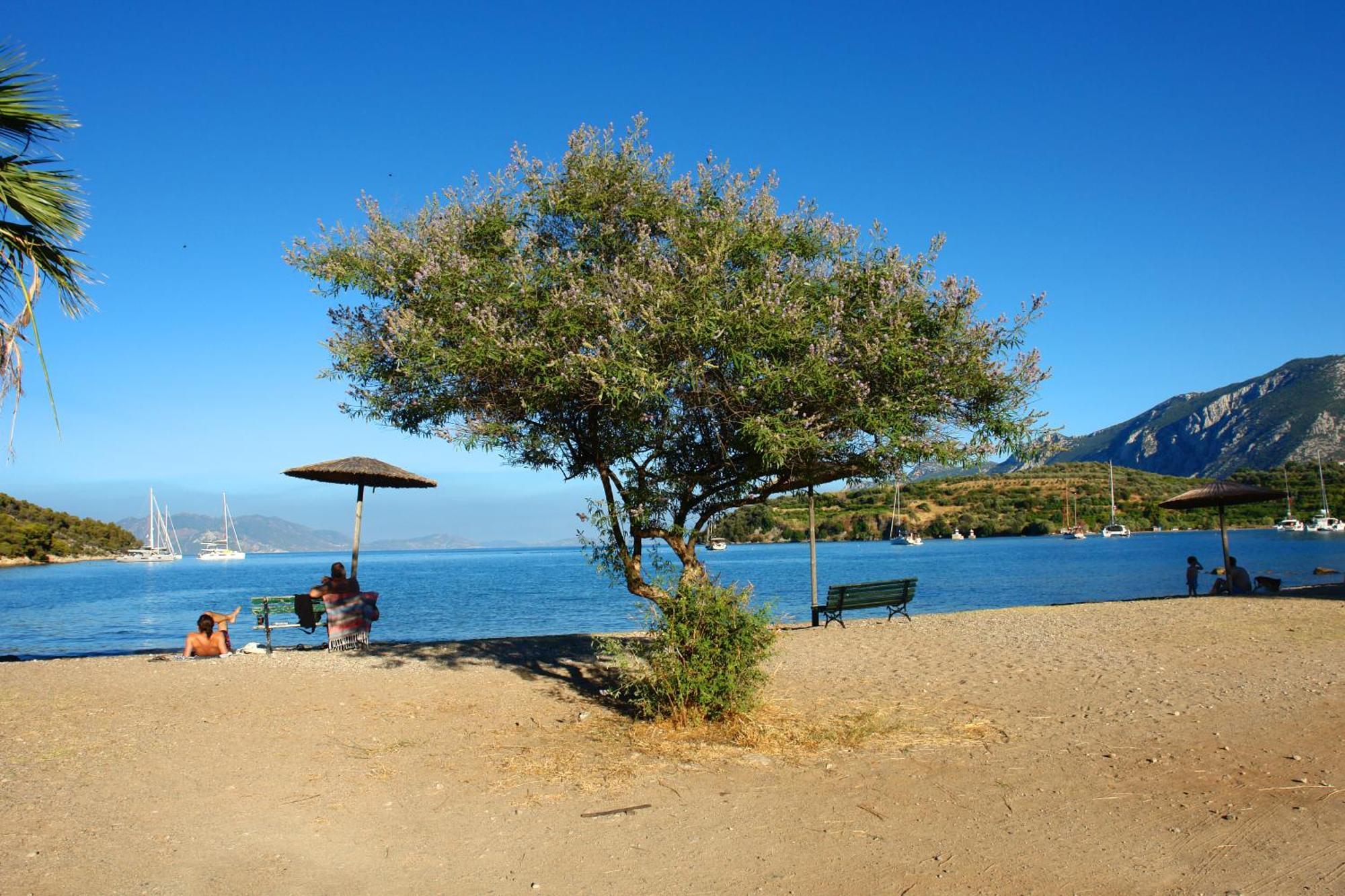 Verdelis Inn Epidaurus Exteriör bild